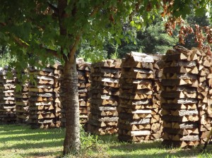 Charlotte Firewood Stacks / Mark's Firewood
