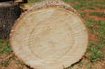 Charlotte Firewood- Cut Ash Hardwood / Mark's Firewood